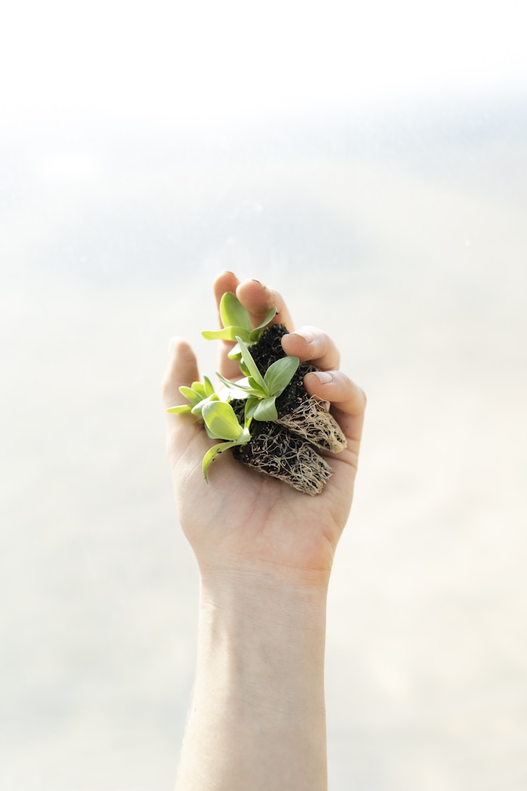 植筋胶送检多少钱,植筋胶送检多少合格