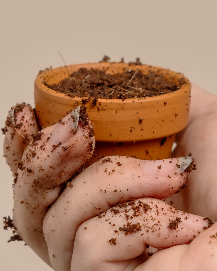 肥料排名前十名,生物肥料主要有五种