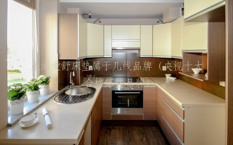 上海爱舒床垫属于几线品牌（央视十大合格床垫品牌）