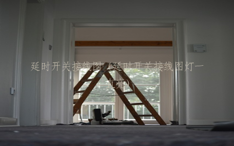 延时开关接线图（延时开关接线图灯一直亮）