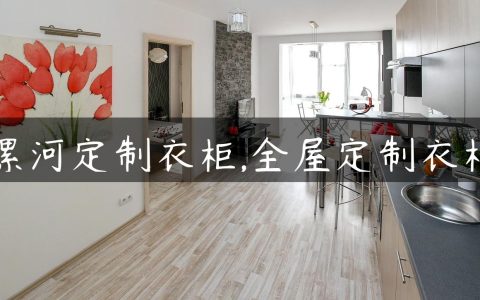 漯河定制衣柜,全屋定制衣柜