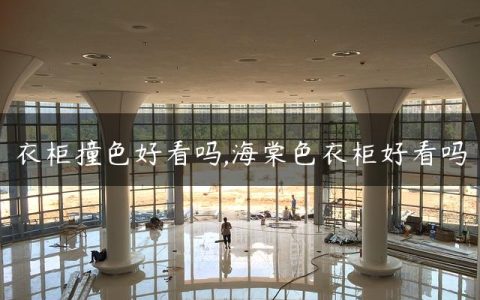 衣柜撞色好看吗,海棠色衣柜好看吗