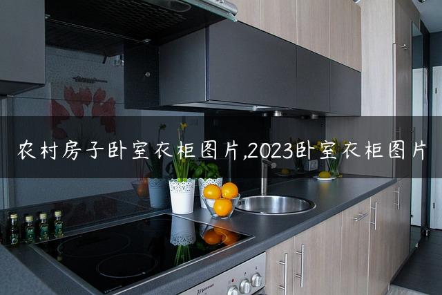 农村房子卧室衣柜图片,2023卧室衣柜图片