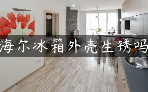 海尔冰箱外壳生锈吗