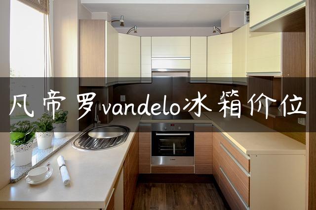 凡帝罗vandelo冰箱价位