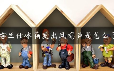 格兰仕冰箱发出凤鸣声是怎么了