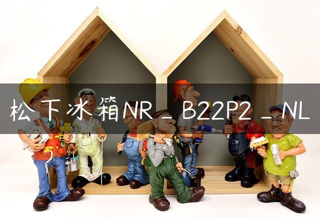 松下冰箱NR_B22P2_NL