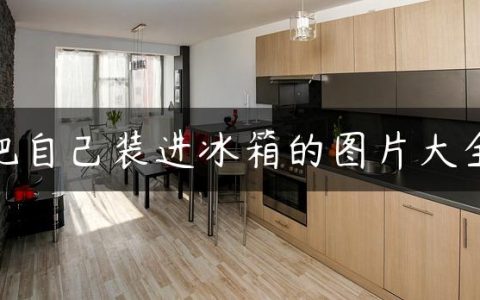 把自己装进冰箱的图片大全