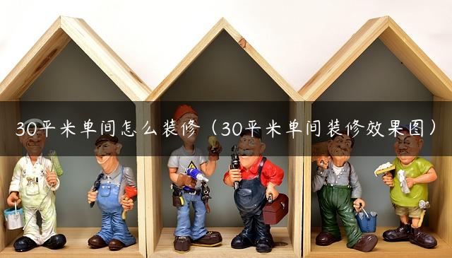 30平米单间怎么装修（30平米单间装修效果图）