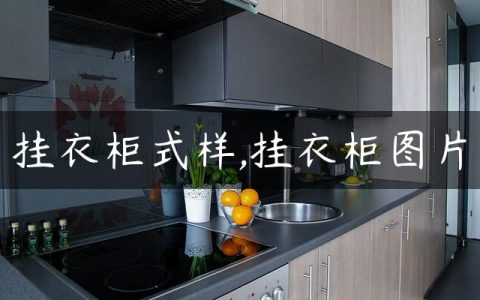 挂衣柜式样,挂衣柜图片