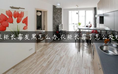 衣柜长霉发黑怎么办,衣柜长霉了怎么处理