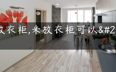 米放衣柜,米放衣柜可以吗