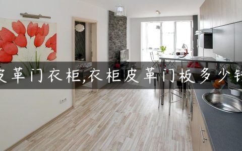 皮革门衣柜,衣柜皮革门板多少钱