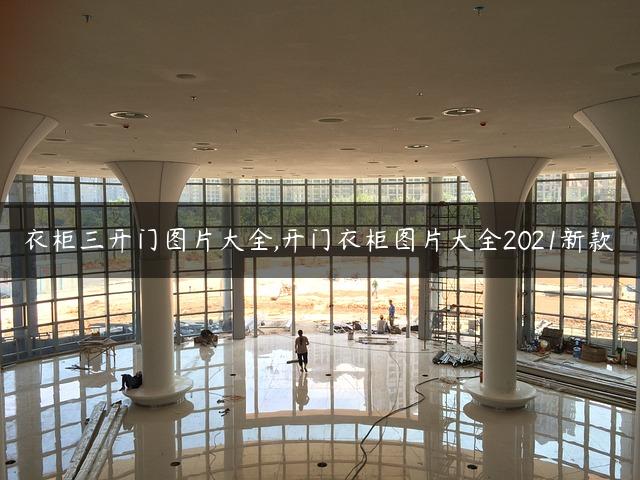 衣柜三开门图片大全,开门衣柜图片大全2021新款