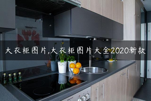 大衣柜图片,大衣柜图片大全2020新款