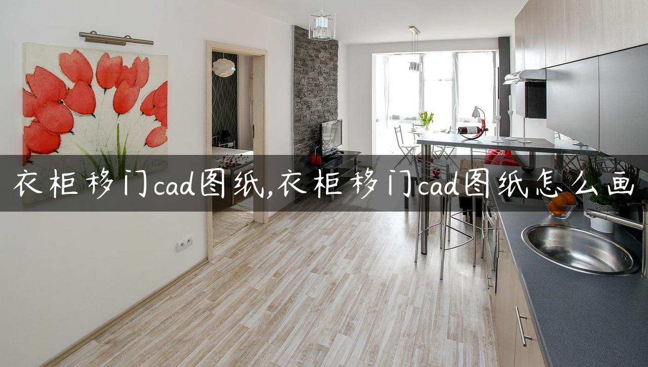 衣柜移门cad图纸,衣柜移门cad图纸怎么画