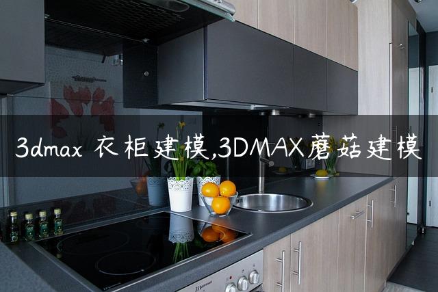 3dmax 衣柜建模,3DMAX蘑菇建模