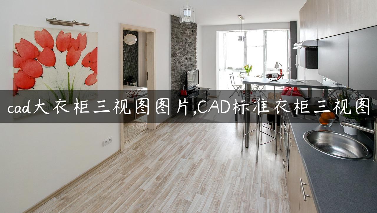 cad大衣柜三视图图片,CAD标准衣柜三视图