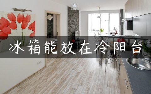 冰箱能放在冷阳台