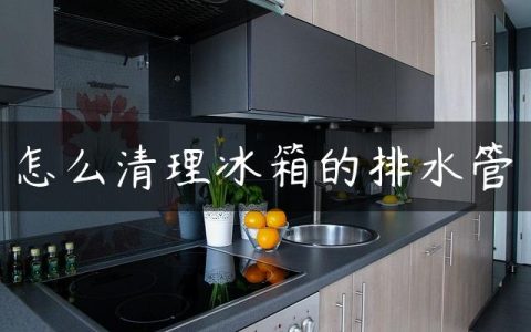 怎么清理冰箱的排水管