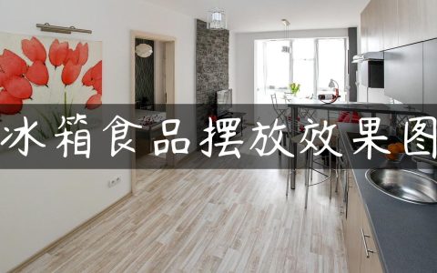 冰箱食品摆放效果图