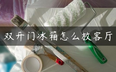 双开门冰箱怎么放客厅