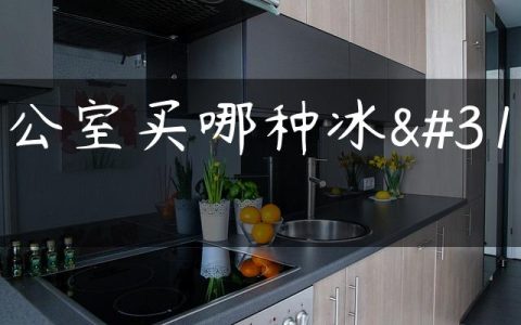 办公室买哪种冰箱