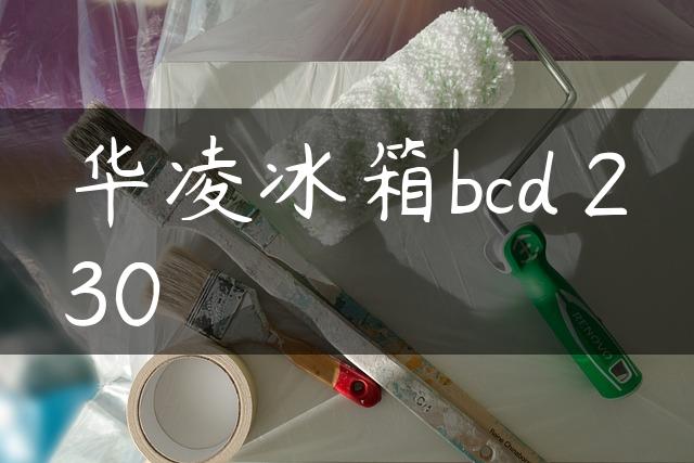 华凌冰箱bcd 230