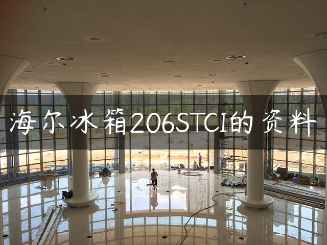 海尔冰箱206STCI的资料