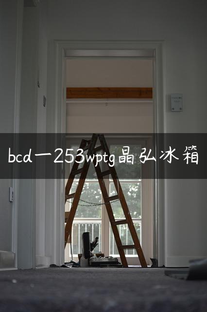 bcd一253wptg晶弘冰箱