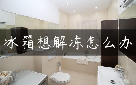 冰箱想解冻怎么办