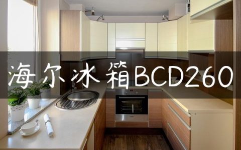 海尔冰箱BCD260