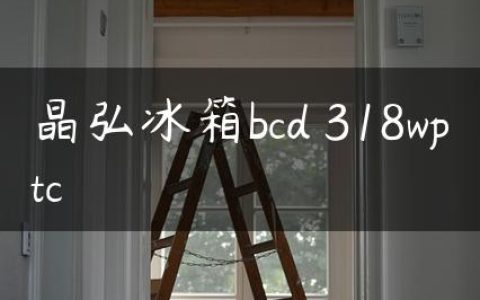 晶弘冰箱bcd 318wptc