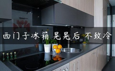 西门子冰箱 晃晃后 不致冷