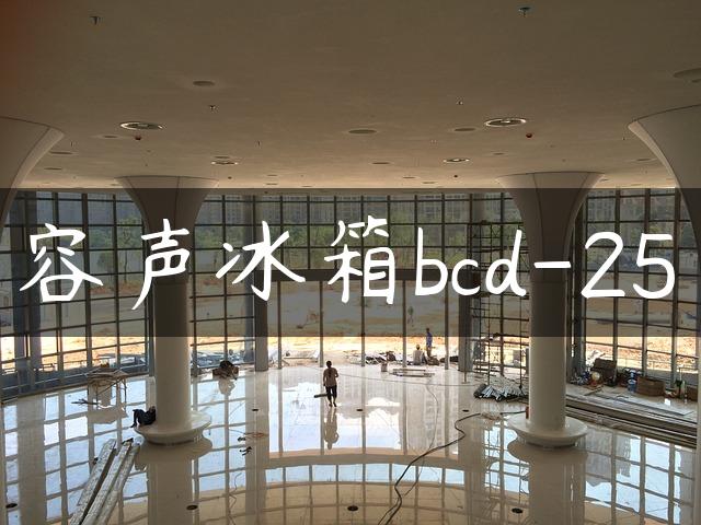 容声冰箱bcd-25