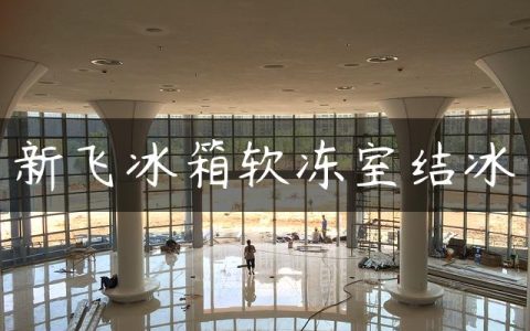 新飞冰箱软冻室结冰