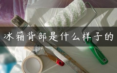 冰箱背部是什么样子的