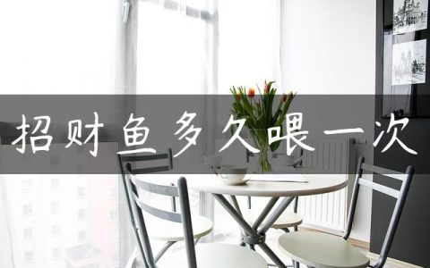 招财鱼多久喂一次