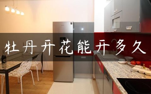 牡丹开花能开多久