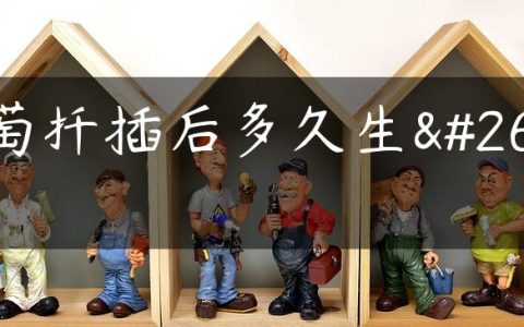 葡萄扦插后多久生根