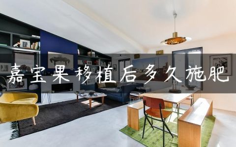 嘉宝果移植后多久施肥