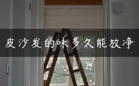 皮沙发的味多久能放净