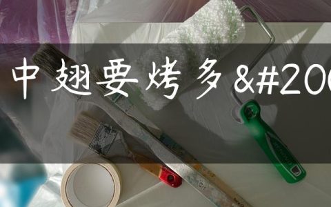 烤中翅要烤多久