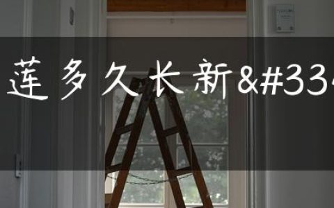 睡莲多久长新芽