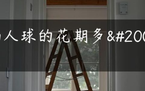 仙人球的花期多久