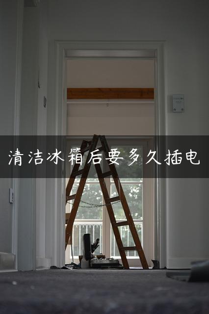 清洁冰箱后要多久插电