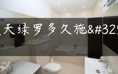 夏天绿罗多久施肥