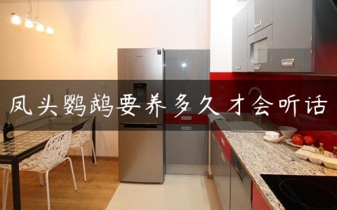 凤头鹦鹉要养多久才会听话
