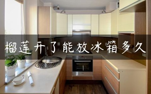榴莲开了能放冰箱多久