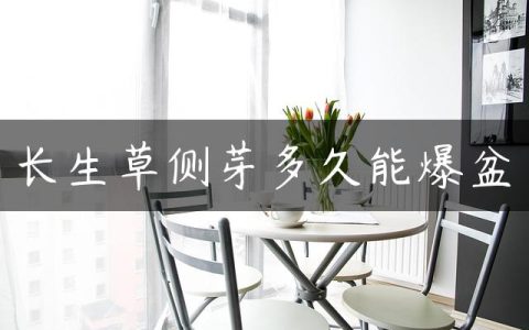 长生草侧芽多久能爆盆